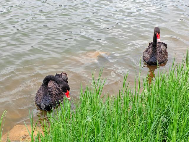 弥勒：藏在滇中的热带风情