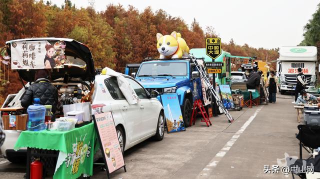日间赏景夜间狂欢，在中山港口落羽杉林邂逅美拉德市集