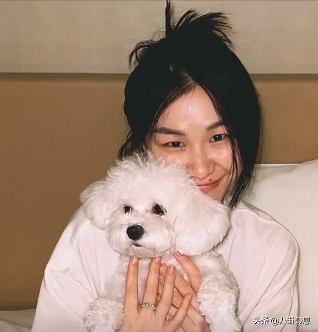 陪睡陪玩都只是开胃菜，目无王法、集体嫖娼，背后的恶心藏不住了