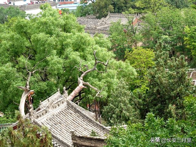 玉泉观：天水的“人间天上”
