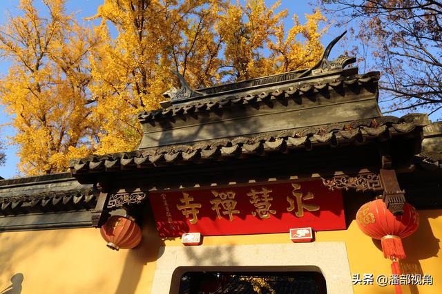苏州石壁永慧寺，冬日金灿灿的世界，这里的古银杏和寺庙完美组合