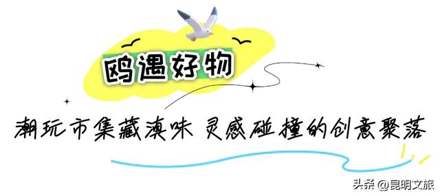 跟着滇超游昆明 | “鸥”然心动！打卡日记已备好，观鸥季精彩继续~