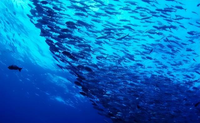 一年赚大陆游客14亿！转投美澳后竟拒接中国航班，该国现状如何？