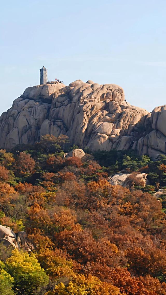 听说，山东的山最近变得「毛茸茸」？