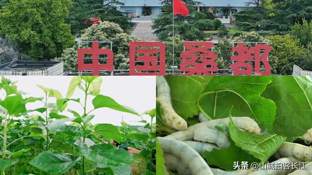 四川“憋屈”的幸运县,顶着诸多头衔和荣誉,境内奇观比较罕见!