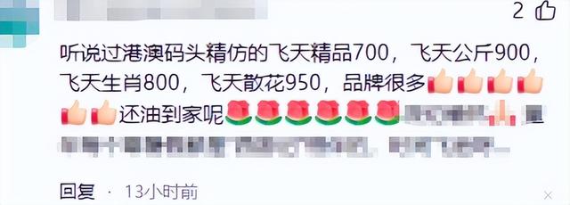 霍家没想到	，纵横跳水界多年的儿媳郭晶晶，竟遭到一个这么大教训