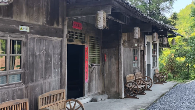 舜帝三临的"南方植物王国"：藏着长征记忆与千年茶香的"大山里"