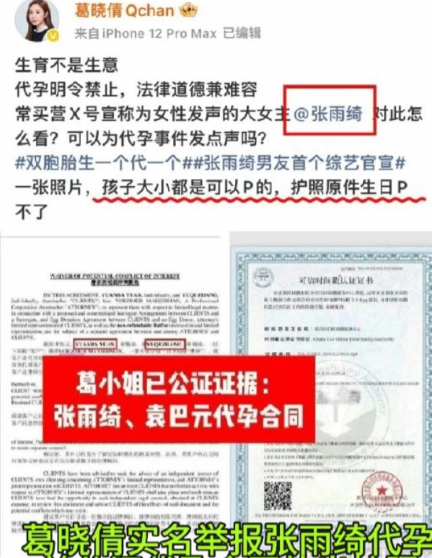 代孕只是“冰山一角	”！张雨绮更多猛料被扒出，放纵的代价太大