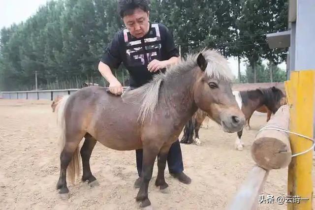 不查不知道一查吓一跳，坐拥北京60亩马场的于谦，私下到底有多壕