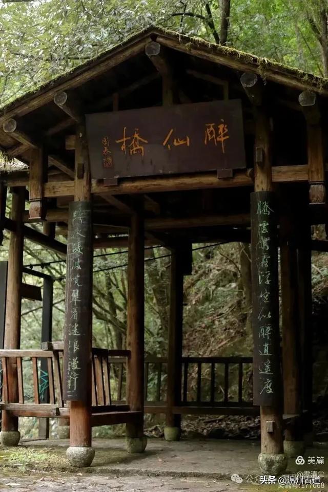 远上乌岩岭上斜,白云生处白云尖!温州这处秋日美景值得一去!