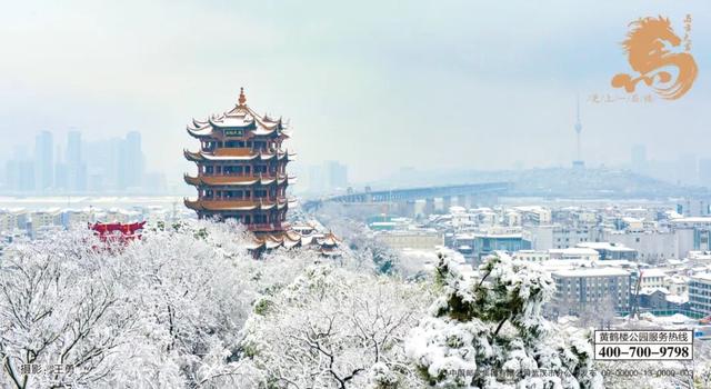 看完心跳加速，一键重温2025楼楼的名场面