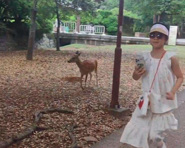 时隔一月，汪峰再陷“牵手门”，一张照片证明了森林北的真实地位