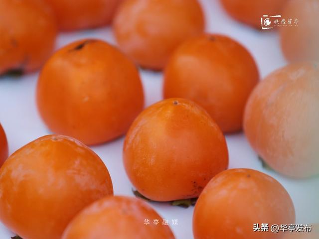 【映像华亭】华亭秋日，佐以人间烟火