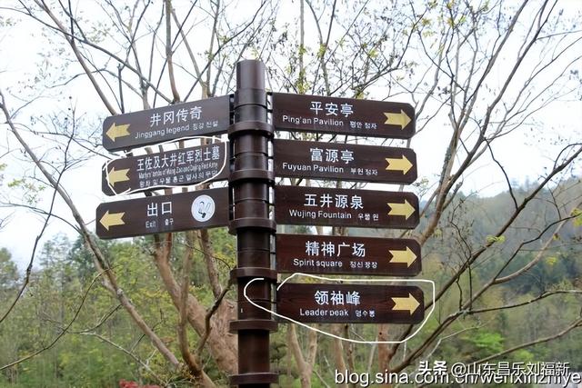 领袖峰及其它（江西之旅第八十五篇）