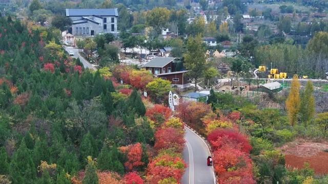 牛郎山，你怎么美成这样！！
