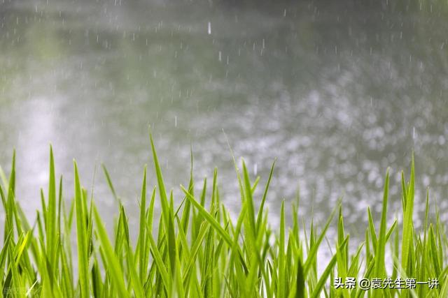 今日入伏，老人说最怕“入伏一日雨”，入伏天下雨有啥预兆？