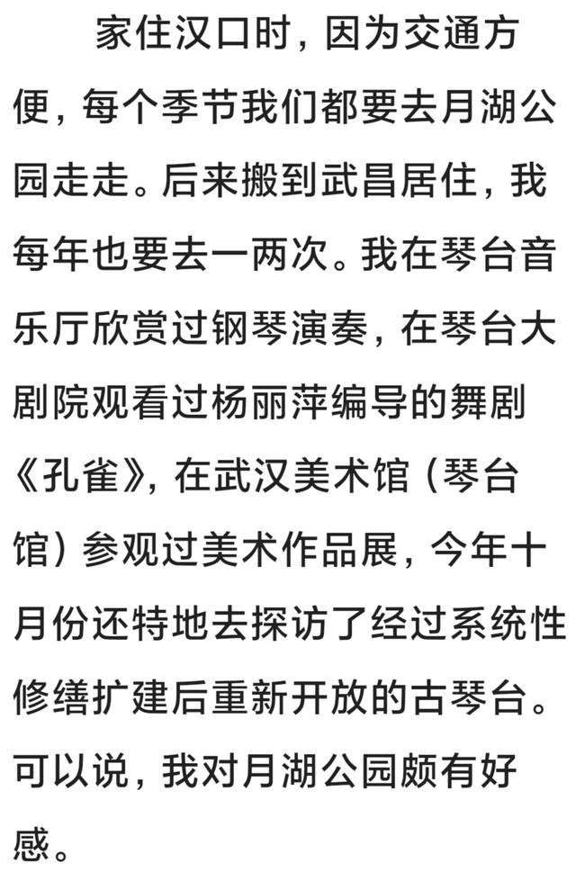 行走在月湖公园