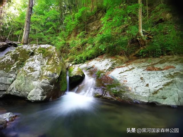 夏季避暑有“凉”方,黑河山水邀你共赴清凉盛宴!