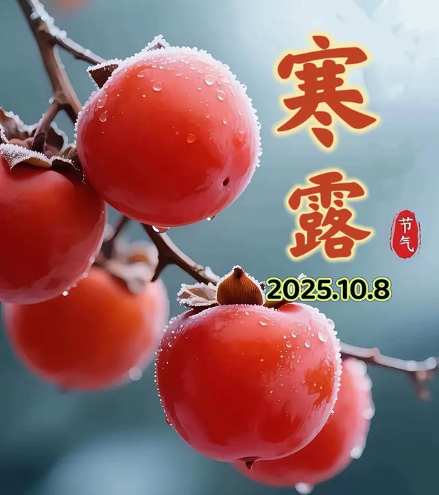今日寒露，好运到，祝福到！