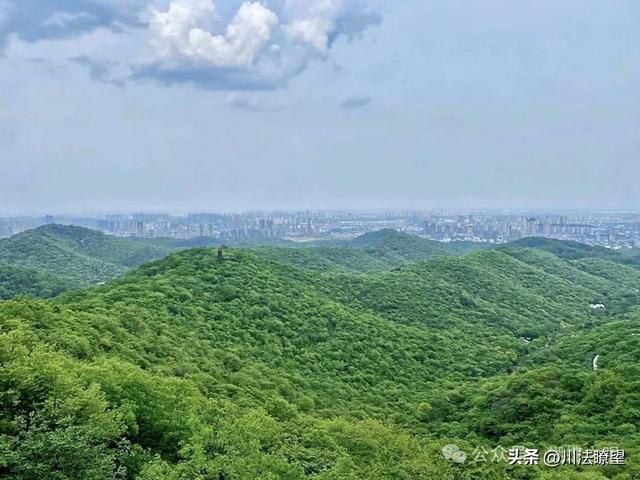 【江油】由“李白故里”门可罗雀说开去