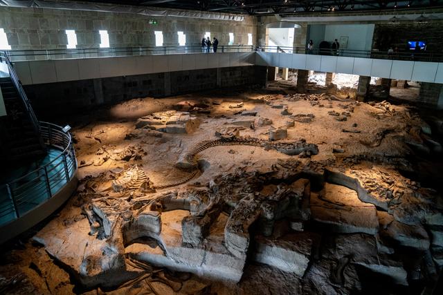 四川省大安区历史沿革及行政区划