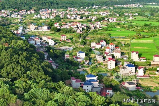 泰和：生态田园风景如画