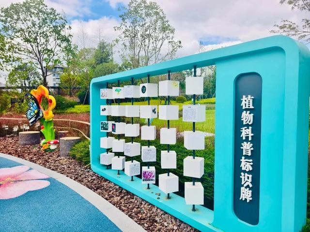 临安五个城市公园上新 点亮市民“家门口的诗与远方”