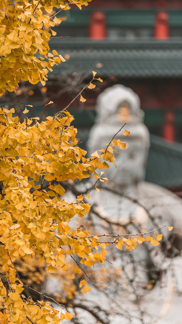 遇见秋天