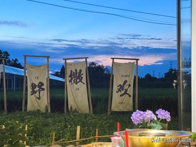 夏天一定要看一次稻田！这4处可看，还能喝下午茶逛博物馆
