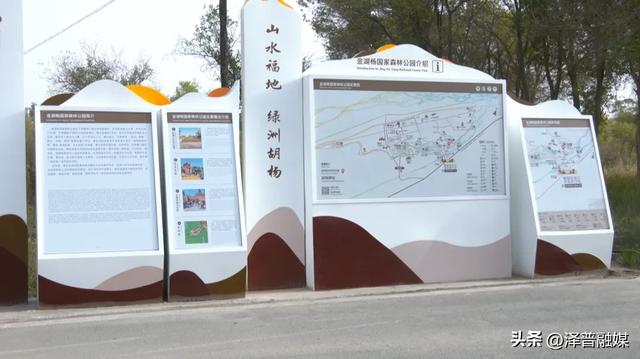 泽普县金湖杨国家5A级旅游景区积极“备战”迎接旅游高峰