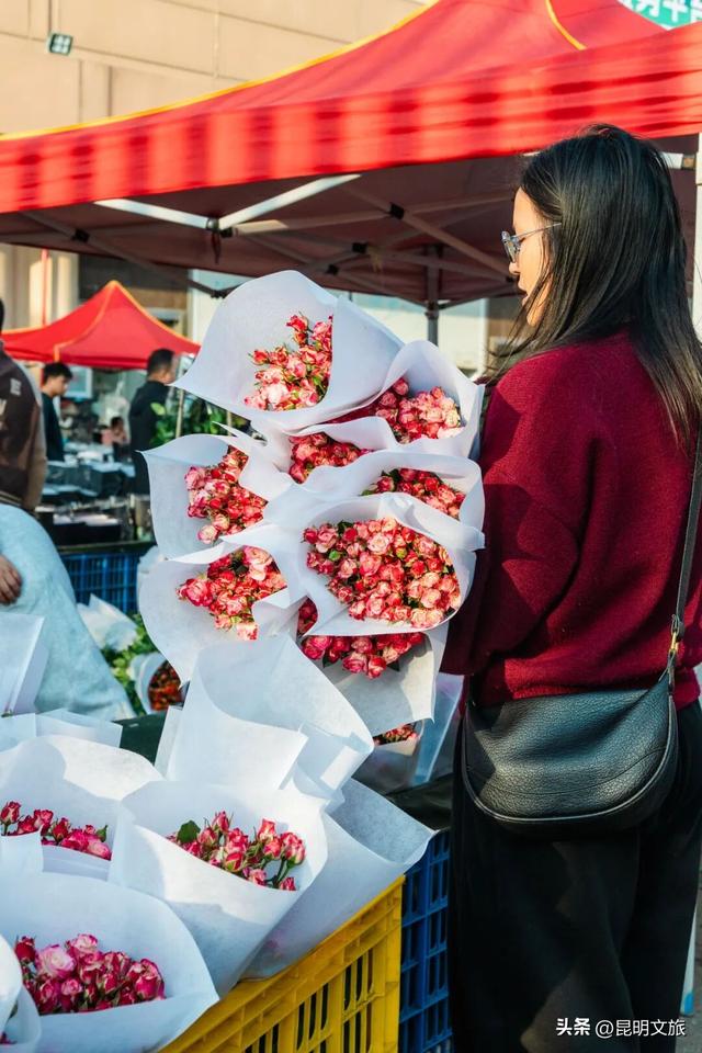 满屏治愈！这个冬日，你一定要去趟斗南花市，邂逅一场流动的彩色盛宴~