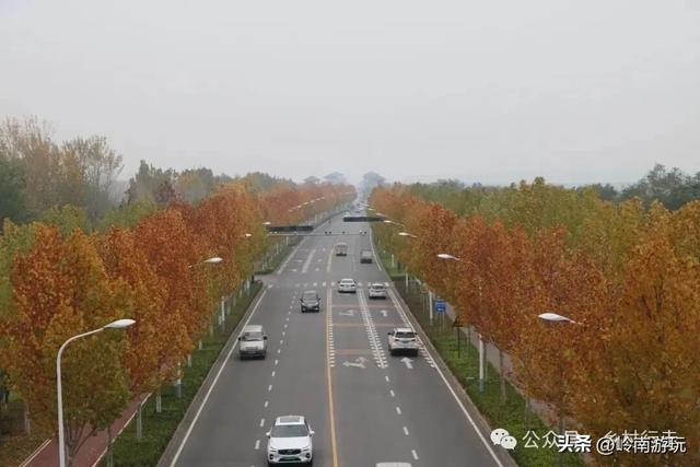 全部免费！渭河南河堤路赏秋攻略大全，那风景简直美爆了！