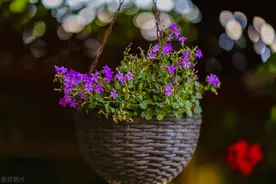 三种梦境频繁出现，可能是未来警钟！小心别让祸事悄无声息降临！图片