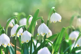 好妻旺三代，坏妻毁三代，女人旺不旺夫，就看这3点！图片