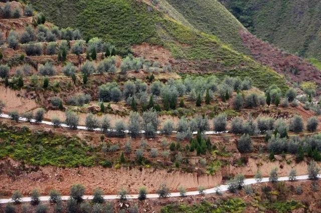 "咔嚓！"→文县