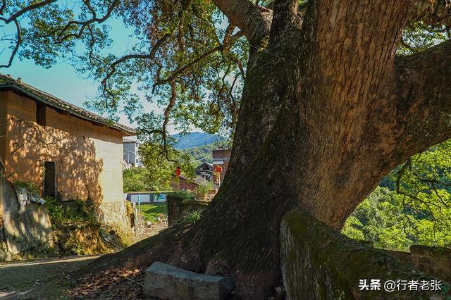 走遍福建古村落，白云深处有人家，白云山下的百年古村落“桥溪”