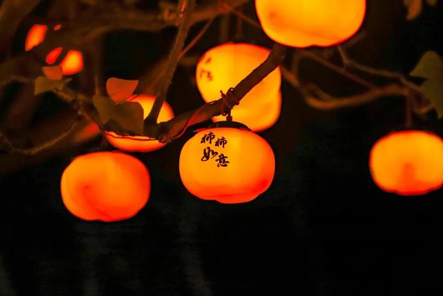 万家灯火绘丰泽丨等你赴约 漫步灯海 遇见别样元宵