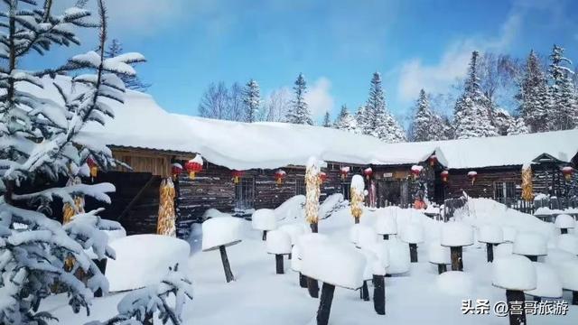 穿越林海雪原，抵达龙江之巅：大秃顶子山冰雪奇缘