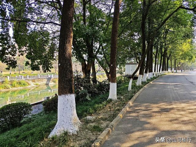 成都亲子轻徒步｜金牛区锦江绿道一日漫游全攻略