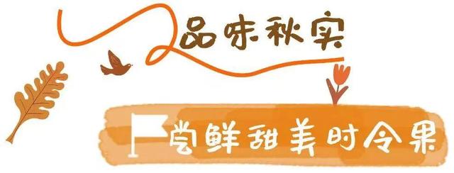 你好啊，烟台的秋天！