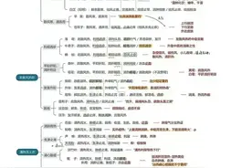 中医学习笔记思维导图版，都是精华总结，值得收藏！图片