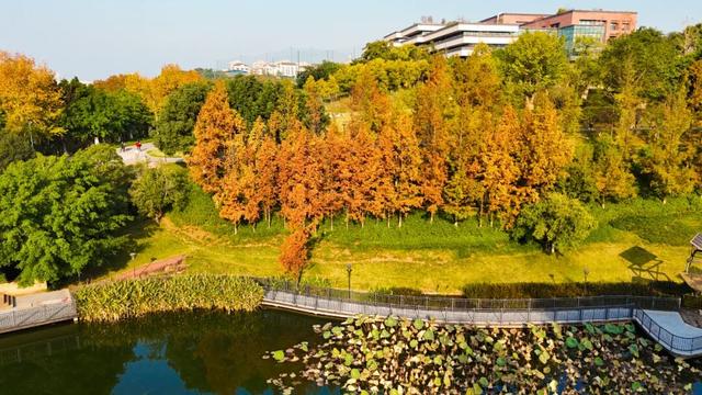 打卡心形湖！重庆这个公园美成油画