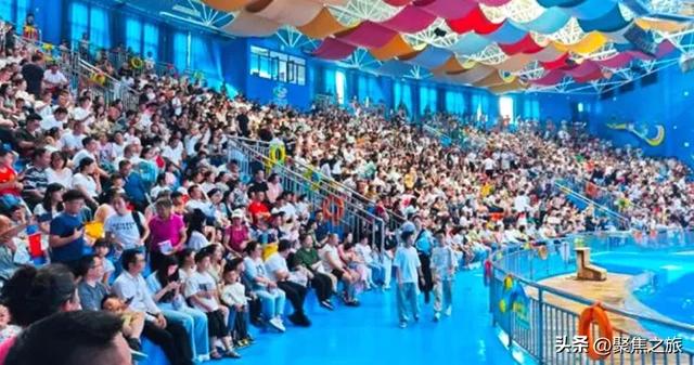贵州极地海洋世界国庆期间日均迎客超5000人