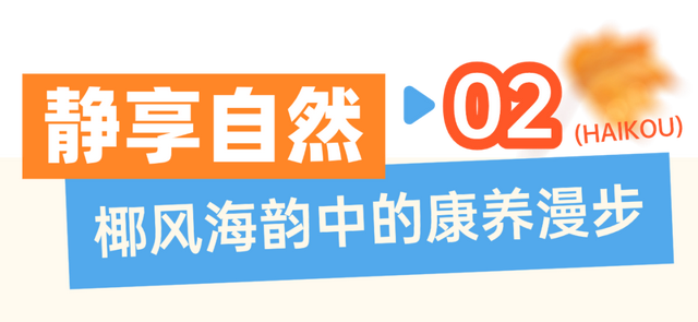 海口给长辈的舒适旅行指南