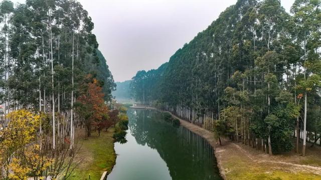 晒太阳~从从容容逛公园赏美景