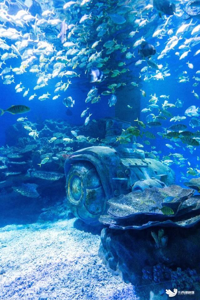 东西湖这个宝藏地，升级啦！