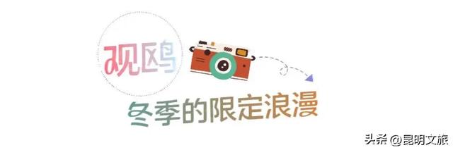 昆明十七公里外,藏着一个可以看“海”的白族村