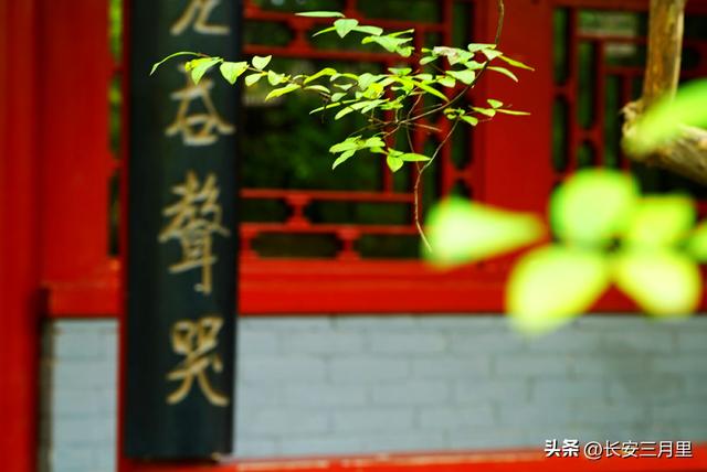 少陵原上杜公祠