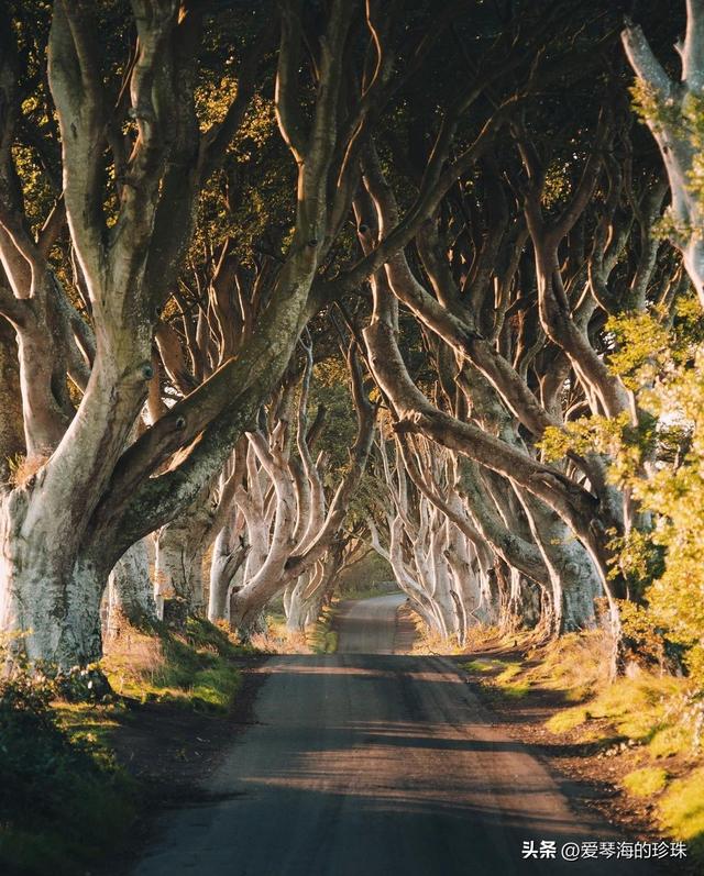 16个欧洲童话目的地：开启你的梦幻之旅