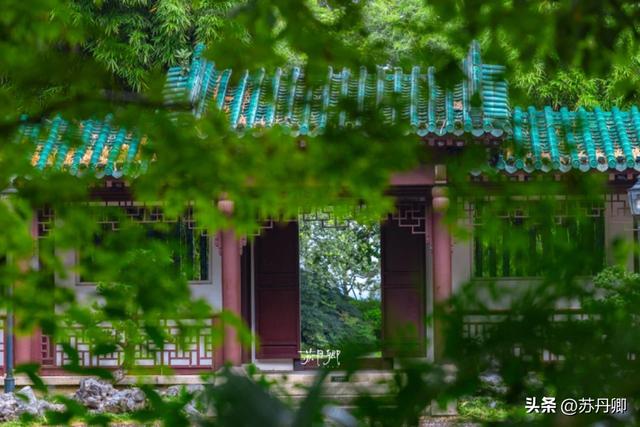 武汉的夏天，有多热就有多美！东湖听雨感受一场“风雅集”
